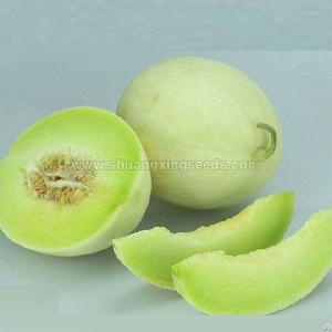 Hybrid F1 Honeydew Melon Seeds For Planting