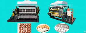 egg tray machine waste paper trays