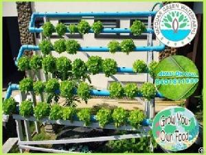 Hydroponics And Aquaponics System To Grow Your Own Food