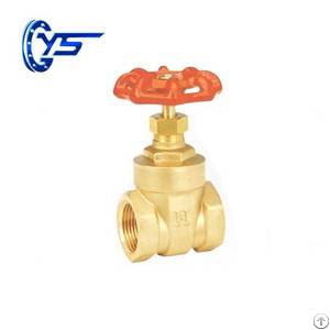 Dn 8-100mm Brass Gate Valve