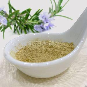 pure rosemary extract