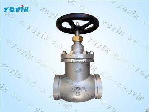 Vietnam Power Plant Globe Valve Seals Kit J961y-6.4mpa