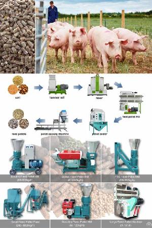 animal feed mill plant pig processing nigeria