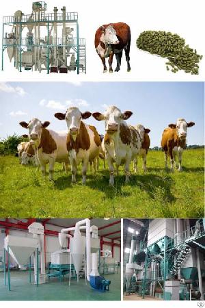 Making Cattle Feed Pellets With High-quality Pellet Machine
