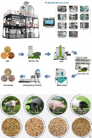 Pig Feed Pellets Production Process