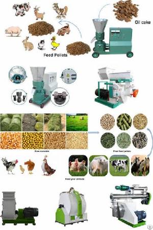 poultry feed pellet line manufacturing cattle chicken