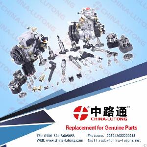 Excellent Quality Dp310 Fuel Injection Pump Head Rotor