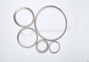 Disc Springs For Valves