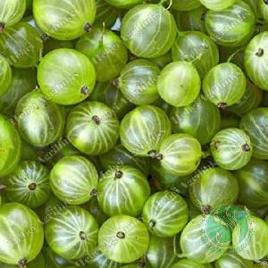 Agrilinks Frozen Gooseberry