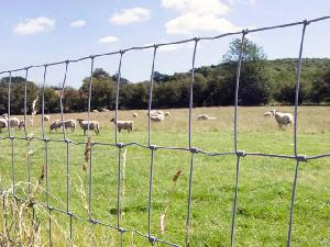 Grassland Fence