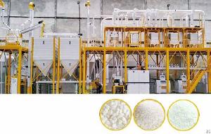 maize flour milling plant
