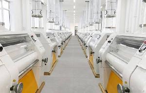 wheat processing flour plant