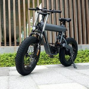 H-19 Cross-coutry Electric Bike