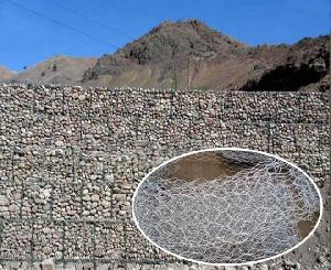 planted gabion walls