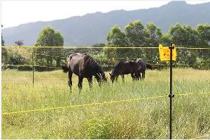 electric wire fence