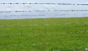 perimeter fence