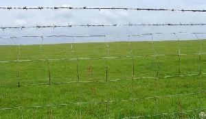 Perimeter Fence