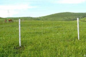 Square Knots Field Fences