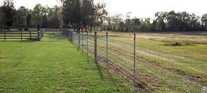 welded wire mesh fence