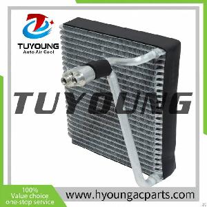 Tuyoung Best Selling Vehicle Ac Evaporator Core For Hyundai Elantra 2.0l 2007-2010 971392h000