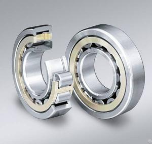 cylindrical roller bearings