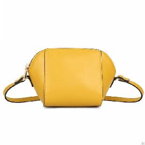 Small Fashion Crossbody Bag