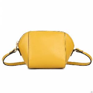 fashion crossbody bag