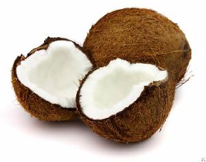 Coconut Cream And Coconut Milk