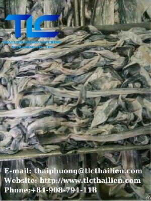 Frozen Pangasius Skin