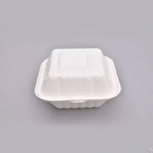 Bagasse Burger Box