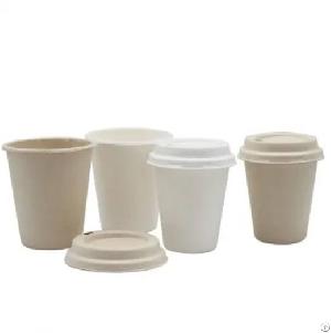 bagasse coffee cups