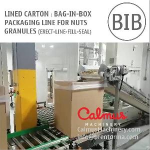 bag box forming filling sealing line packaging nuts granules