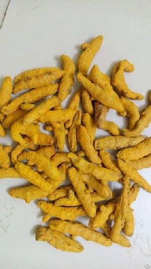 Turmeric Finger