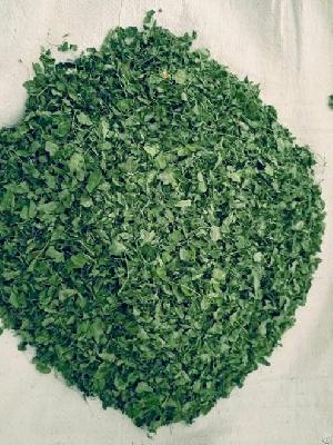 Moringa Leaves