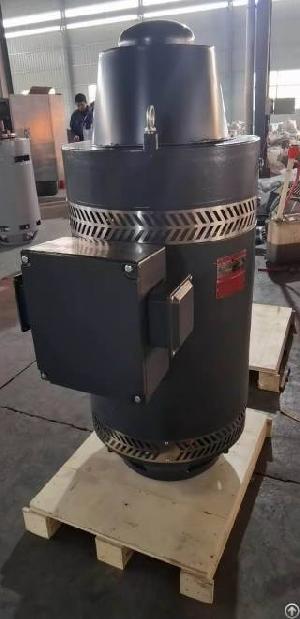 Vertical Hollow Shaft Motor