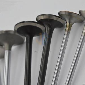 engine valves