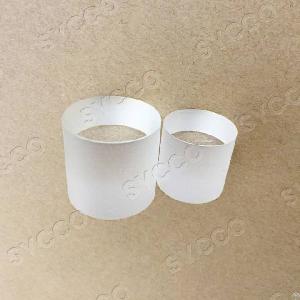 Rod Lenses