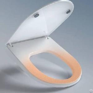 Dual Nozzle Heated Bidet Toilet Seat