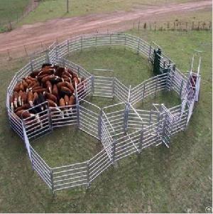cattle fence