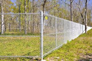 Chain Link Fence