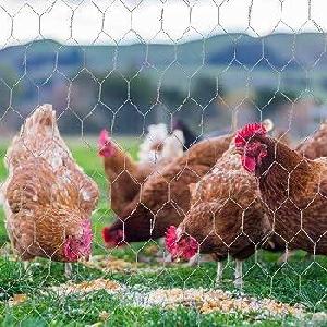 Hot Sales Hexagonal Wire Mesh