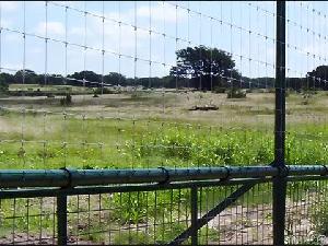 Wire Mesh Fencing Solutions For Water Gaps