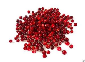 Iqf Lingonberry