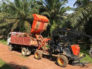 Palm Plantation 4x4 Tractor