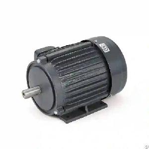 Custom Electric Motor