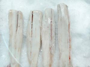 blue shark meat