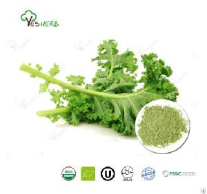 Kale Powder