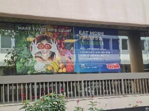 Melamine Faced Board