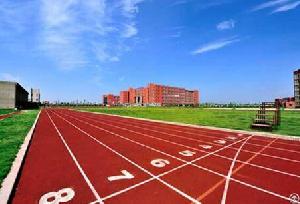 Pu Sport Track And Sport Floor Coating