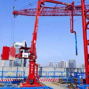 Form-frame Placing Boom